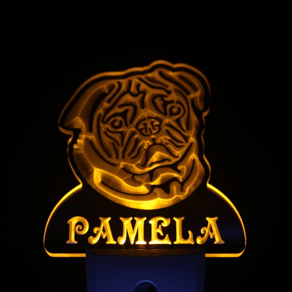 ADVPRO ws1082-tm Pug Dog Personalized Night Light Name Day/Night Sensor LED Sign