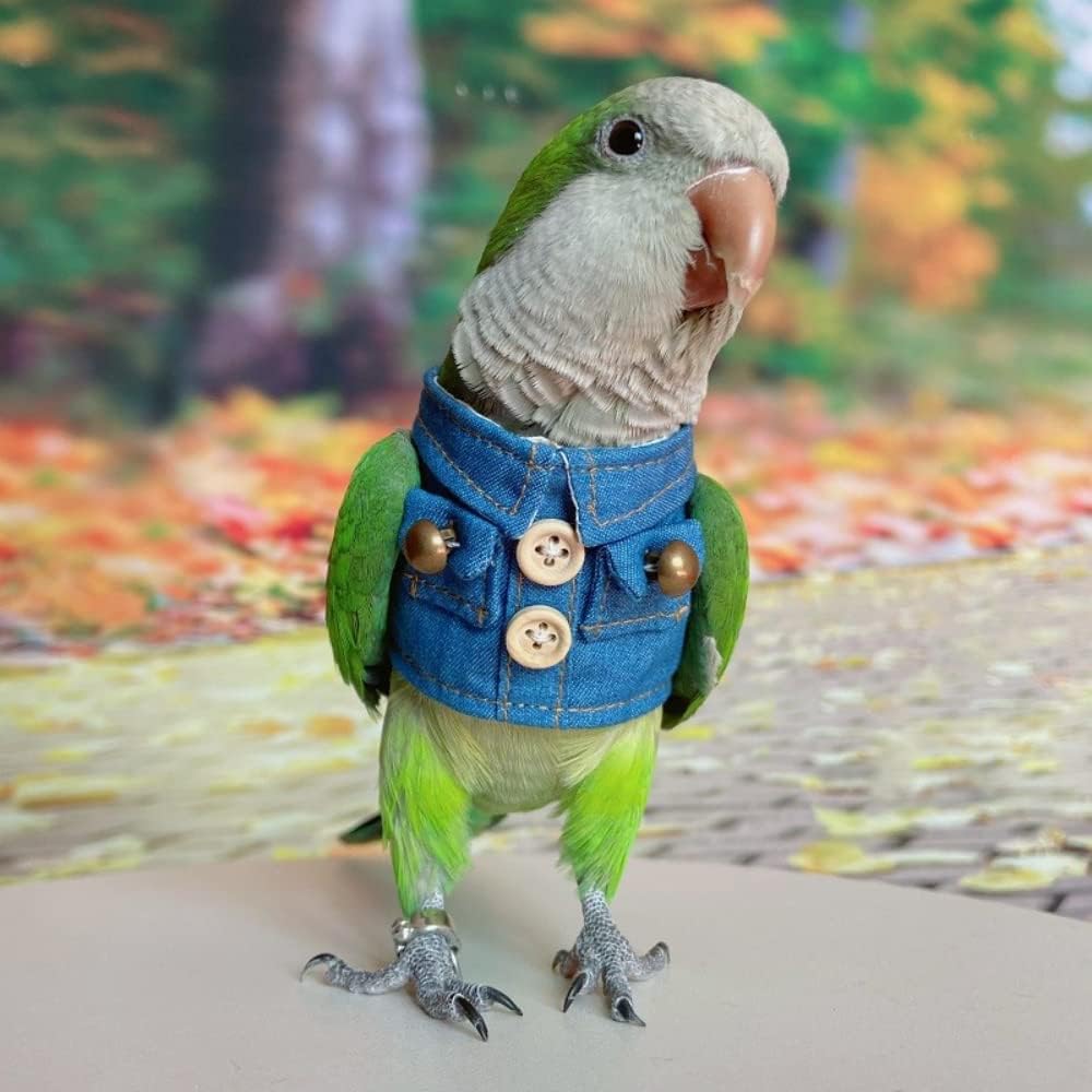 Bird Clothes Buy Super Cute Baby Birds COSPLAY Costume Parrot