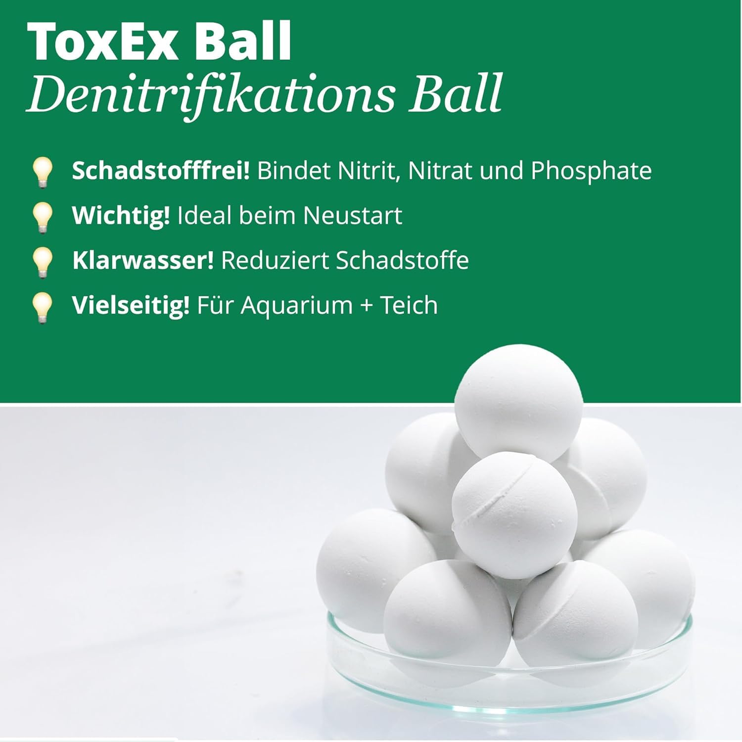 Garnelio Gartenteich Set - 10x Sumpfdeckelschnecke (Viviparus viviparus) & 1x ToxEx Denitrifikationsball - heimische Algenfresser & natürliche Wasserpflege für den Teich