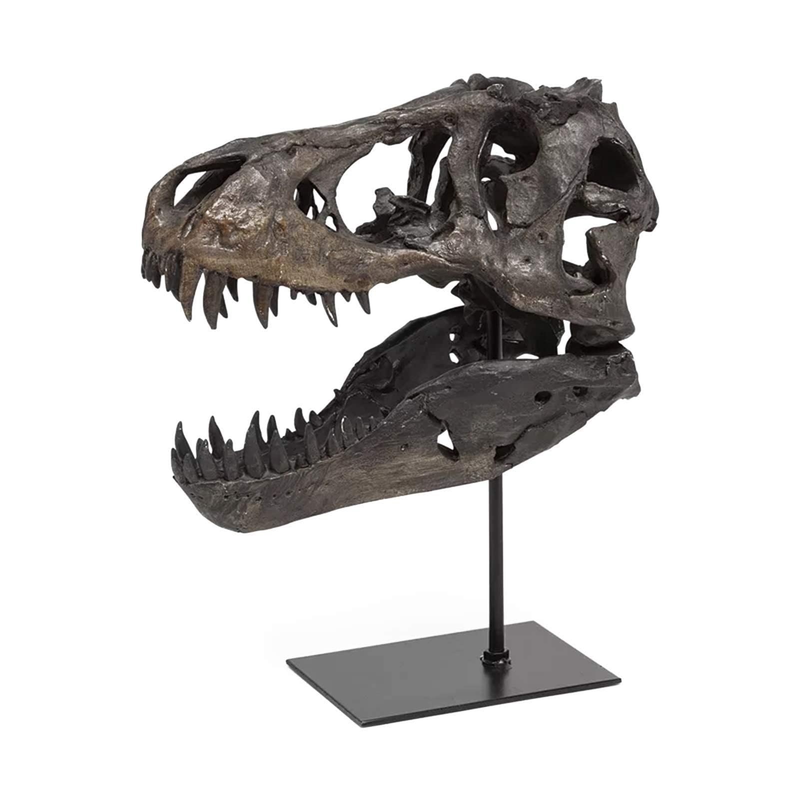Dekoracja biurka Artystyczna Statua - Rzeźba Ozdoby - Statua Czaszki Dinozaura, Model w Skali 1/10 Tyranozaur Rex Czaszka Żywica Rzeźba Realistyczna statuetka w kształcie dinozaura Blat