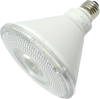 LED,14W,DIM,27KFL,PAR38,Flood