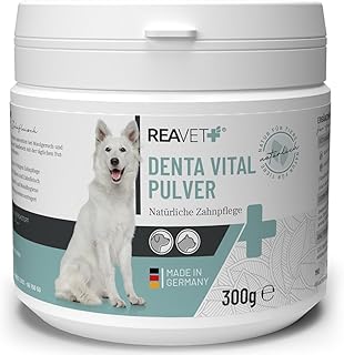 ReaVET Denta Vital Zahnpflege Pulver Hund & Katzen 300g - Zahnsteinentferner, Mittel gegen Zahnstein Hund Katze I Gegen Mundgeruch bei Hunden, Zahnpflege Katzen
