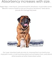 Vista 4 de Pet Parents® Bandas para el vientre lavables para perros machos (paquete de 3) + Extendrs® de pañales duraderos para perros machos, pañales prémium