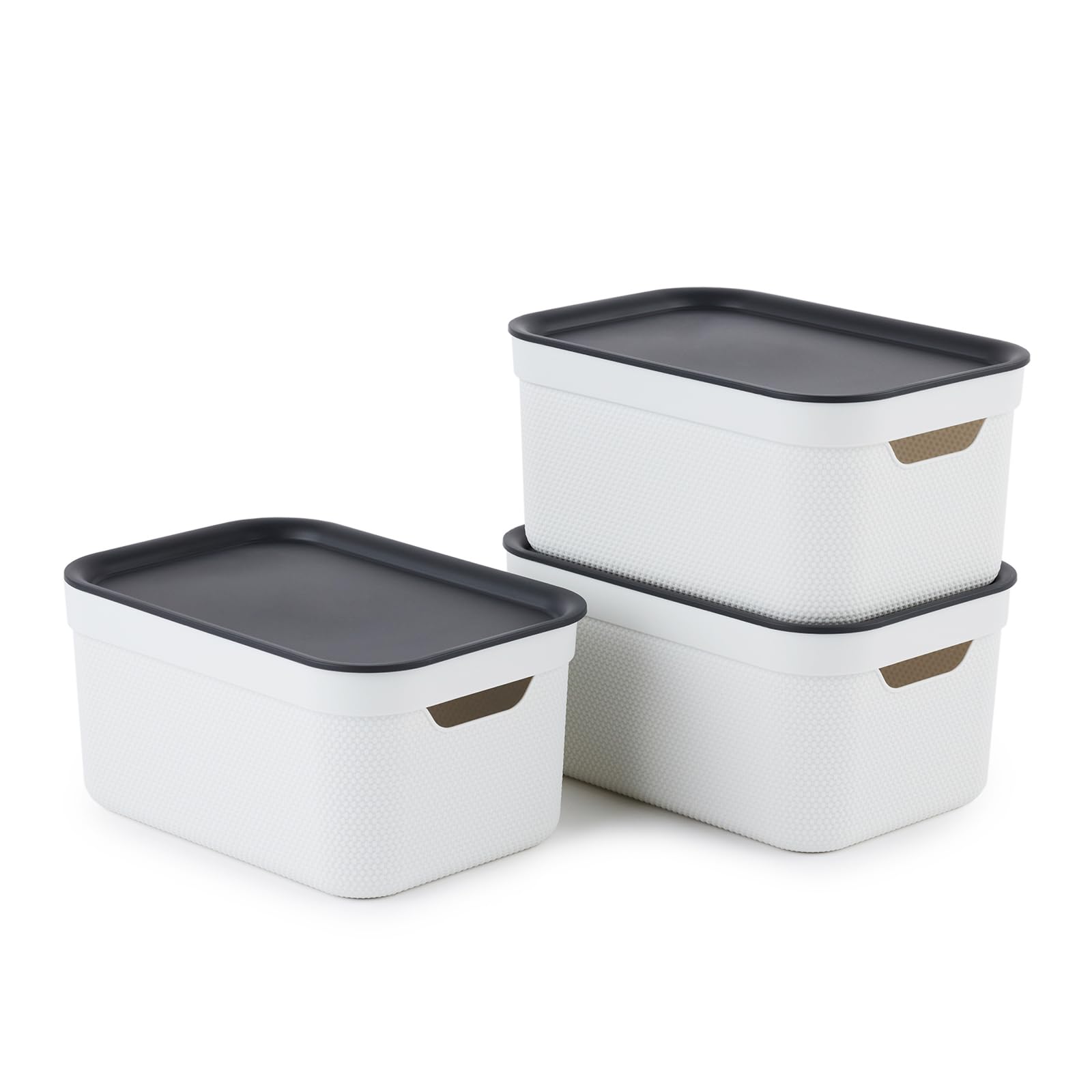 Rotho Jive Dekobox Set of 3 storage box 5l with lid, Plastic (PP recycled), white/anthracite, 3x5l (26.5 x 18.5 x 13.2 cm)