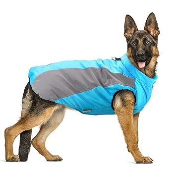 Didog Waterproof Dog Winter Coats Clothes,Reflective Dog Cold Weather Vest Jackets with Soft Warm Fleece,Windproof Dog Apparel for Medium Large Dogs,Blue