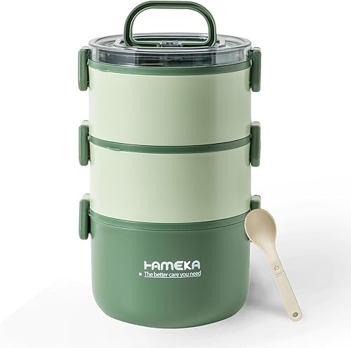 Aroplor Lonchera Bento de acero inoxidable para niños, lonchera para adultos, 2 capas compartimentadas para alimentos, recipientes a prueba de