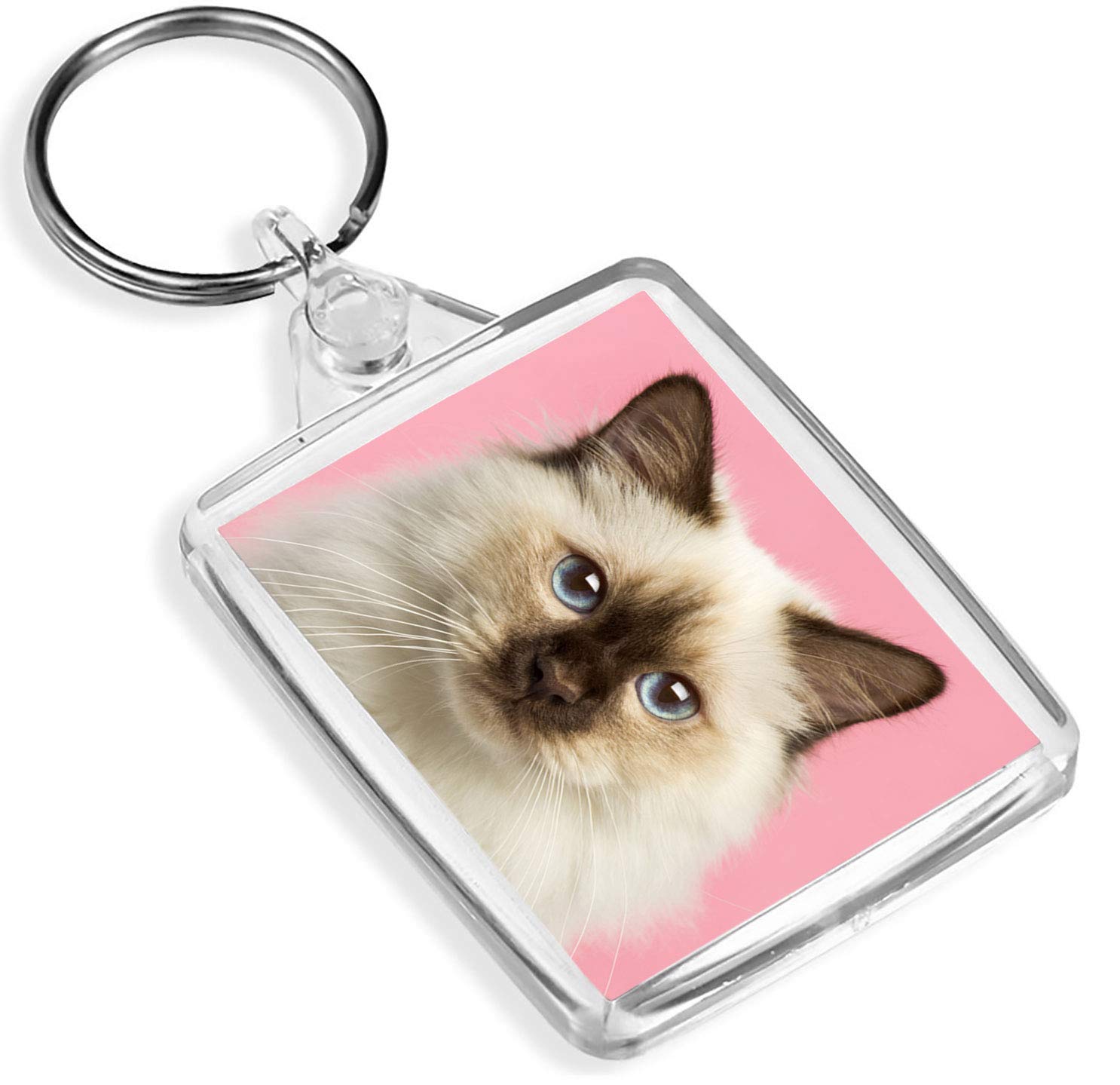 Destination Vinyl Keyrings 1 x Keyring Sacred Cat of Burma Birman Kitten Cats Pink Keychain Keys Gift #2825