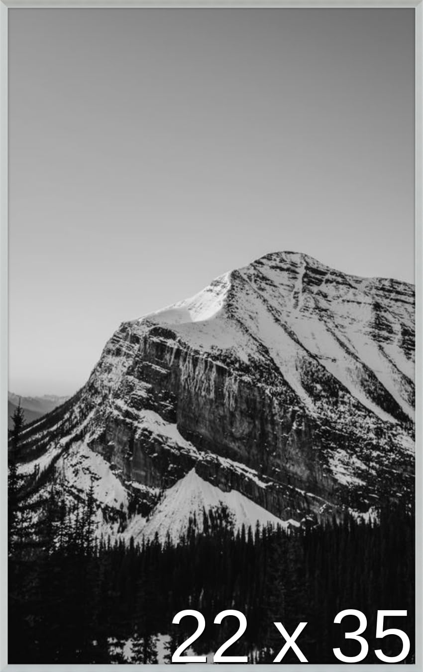 Frame It Easy 22 x 35 Satin Silver Metal Frame (Ashford)