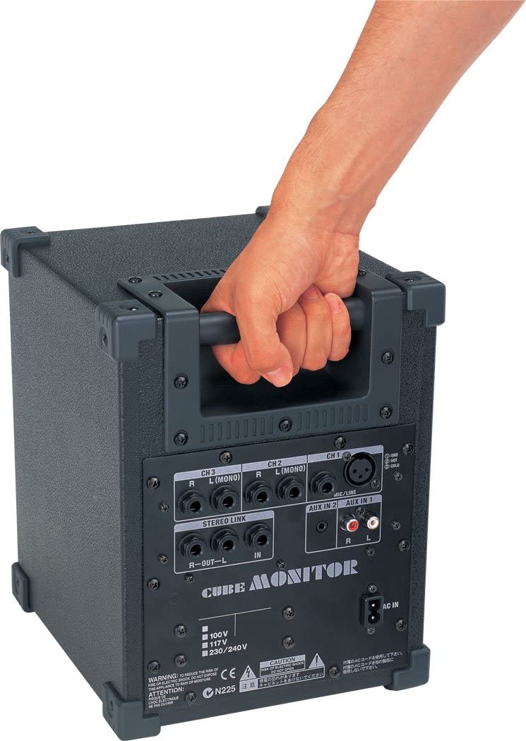 Roland CM-30 Cube Monitor Speaker : Amazon.in: Musical Instruments