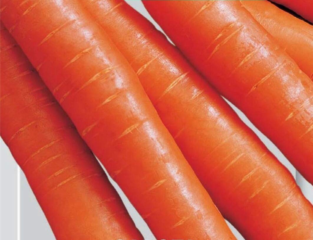Seeds of Carrot Nantes 2