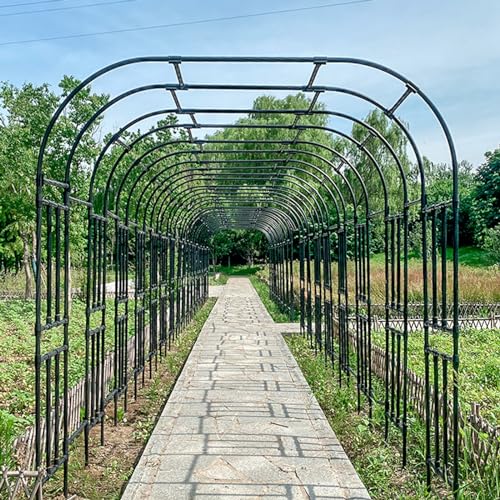 Treillis idéal pour rosiers au design élégant et durable - 6