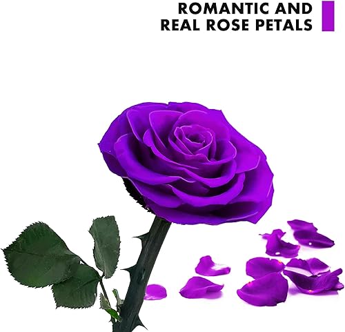 Miniatura 24 de Forever Roses - Idea de regalo para mamá, rosa de la Bella y la Bestia en cúpula de cristal, flor de rosa preservada eterna, regalo para ella