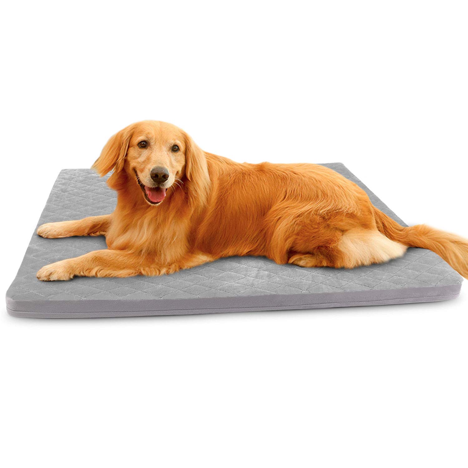 large dog bed with cover