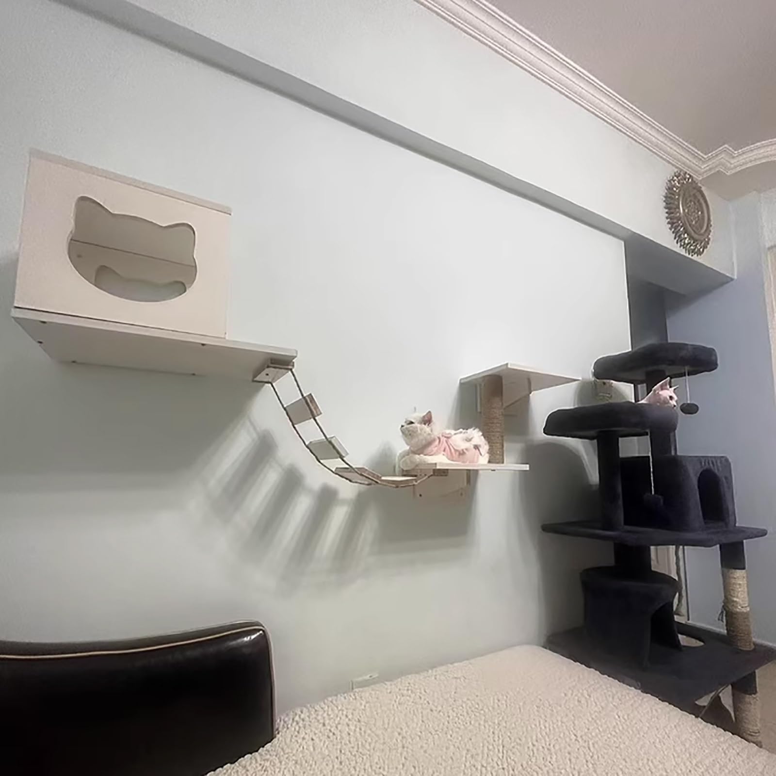 Percorso Gatti da Parete, Mensole Gatti, Casetta Sull'albero per Gattini, Trespolo da Parete per Micia, con Mensole per Arrampicata, Trespoli, Ponte(13PCS)