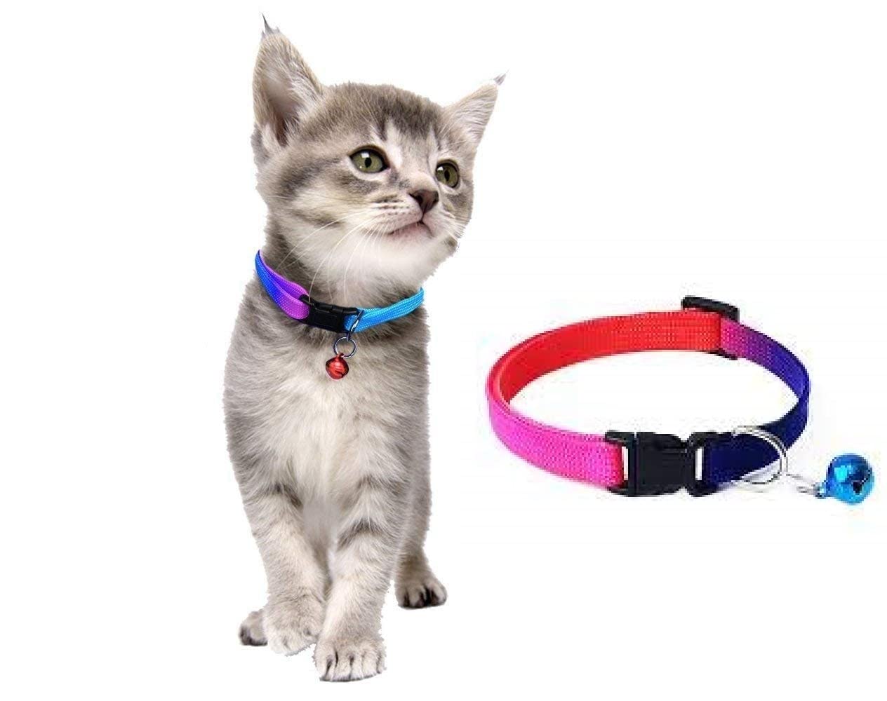 RvPaws Dog and Puppy Collar Rainbow, Adjustable Nylon Collar for Small and Medium Dogs, Quick Release and Breathable Collar, Small Dog & Puppy 15 MM (Rainbow Color) (B0BDMJQ1RB) Amazon Price History, Amazon Price Tracker