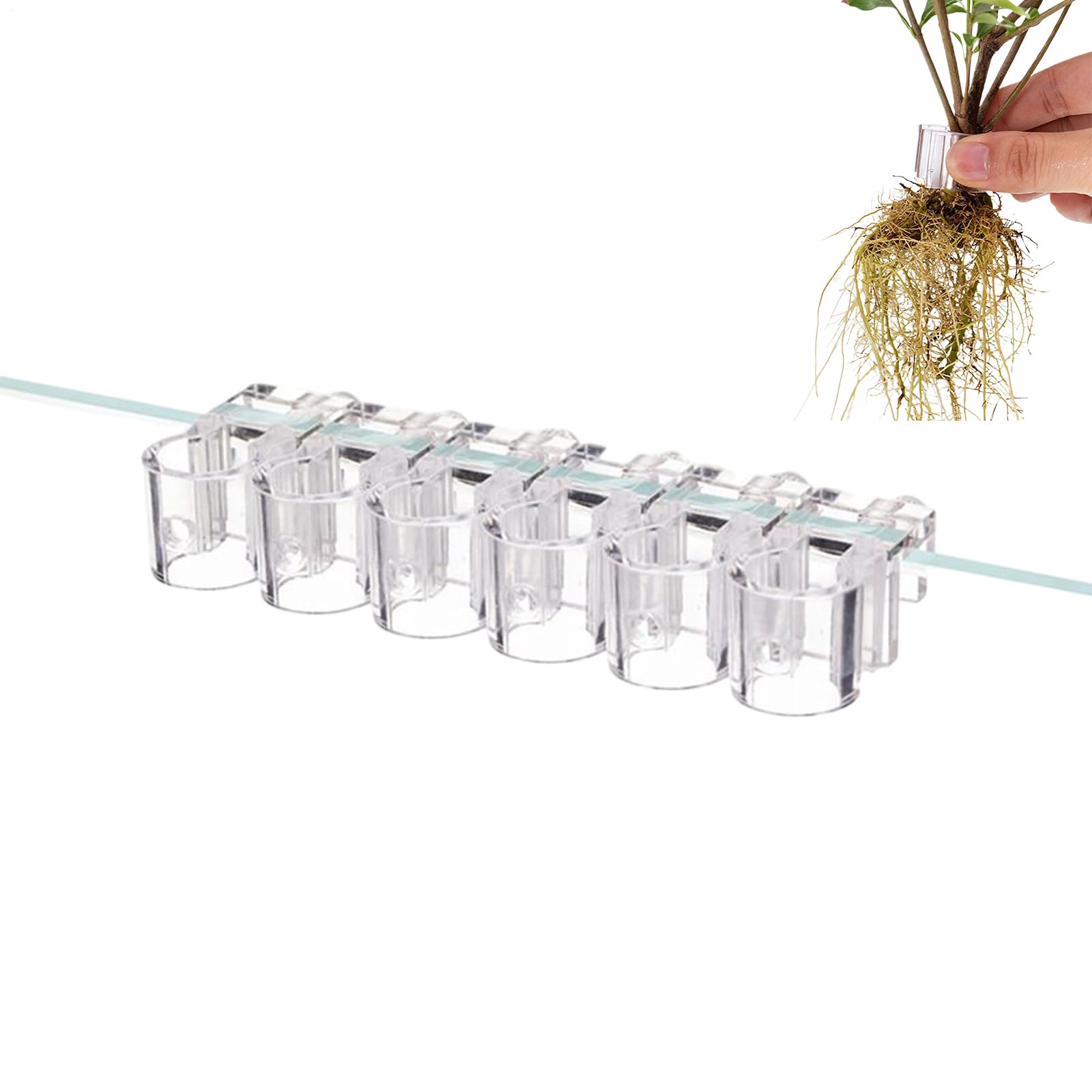 Porte-plantes pour aquarium Generico à 6 tasses transparentes