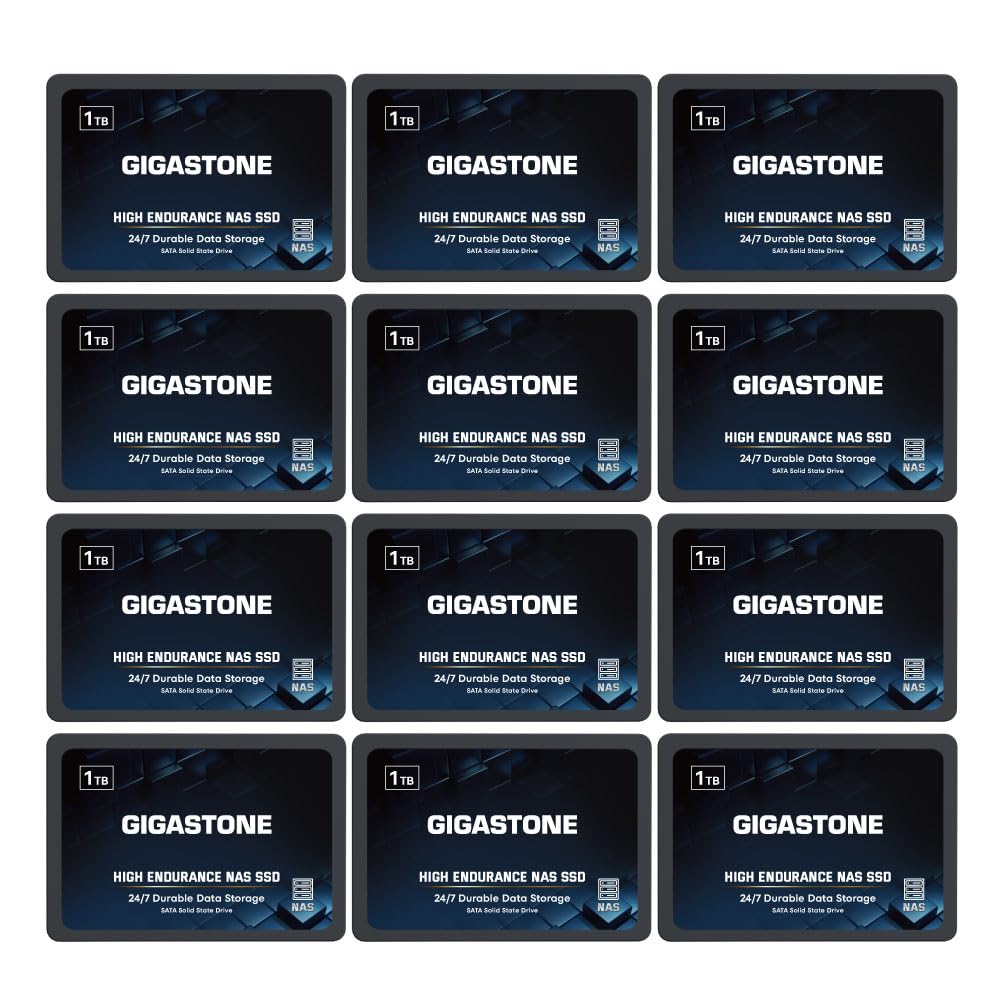 Gigastone SSD 1TB NAS SSD Disco (set da 12) 24/7 Alta Resistenza TLC business RAID Sync Cloud Dati Backup Network Attached Storage Cache SATA III 2,5 Pollici Unit? a stato solido interno