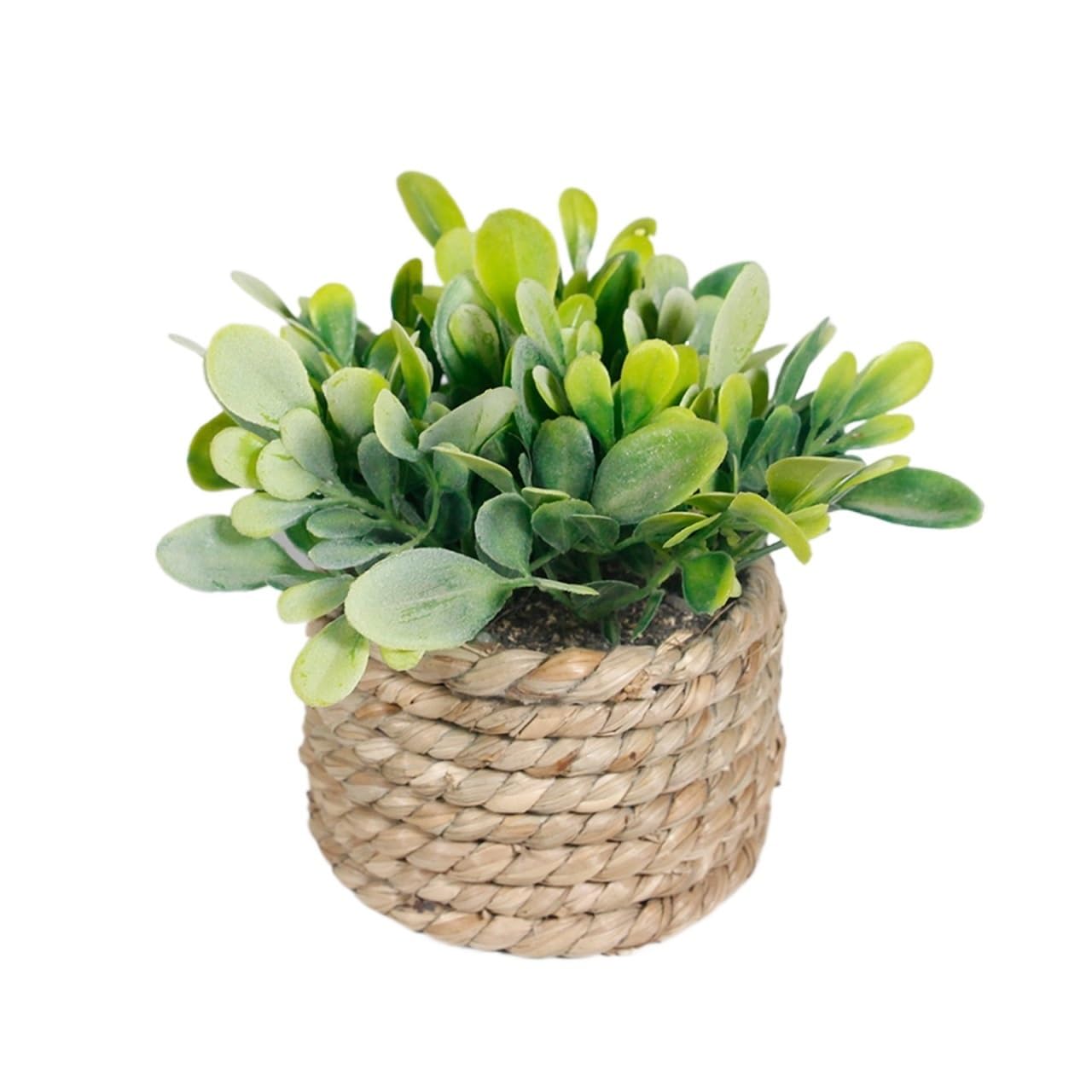 Small Artificial Plants Green Artificial Potted Plant Eucalyptus Grass Woven Simulated Plants Plastic Leaf 11cm Decorations Home Decor(Color2)