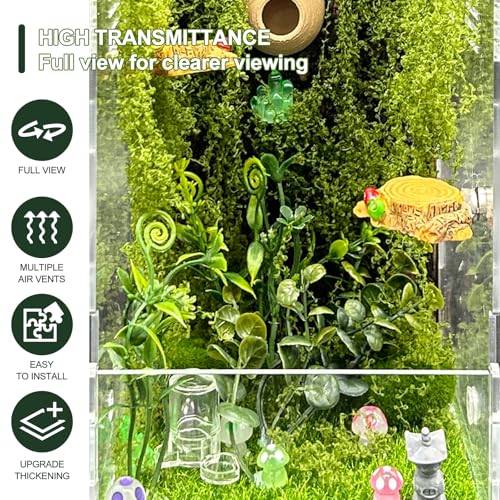 Image of Jumping Spider Enclosure,DIY Insects Habitat,Small Reptile Terrarium Glass House Accessories Set,with Temperature and Humidity Detector Water Feeder Platform Hide,5.5 inchx5.5 inchx9.5 inch (Forest)
