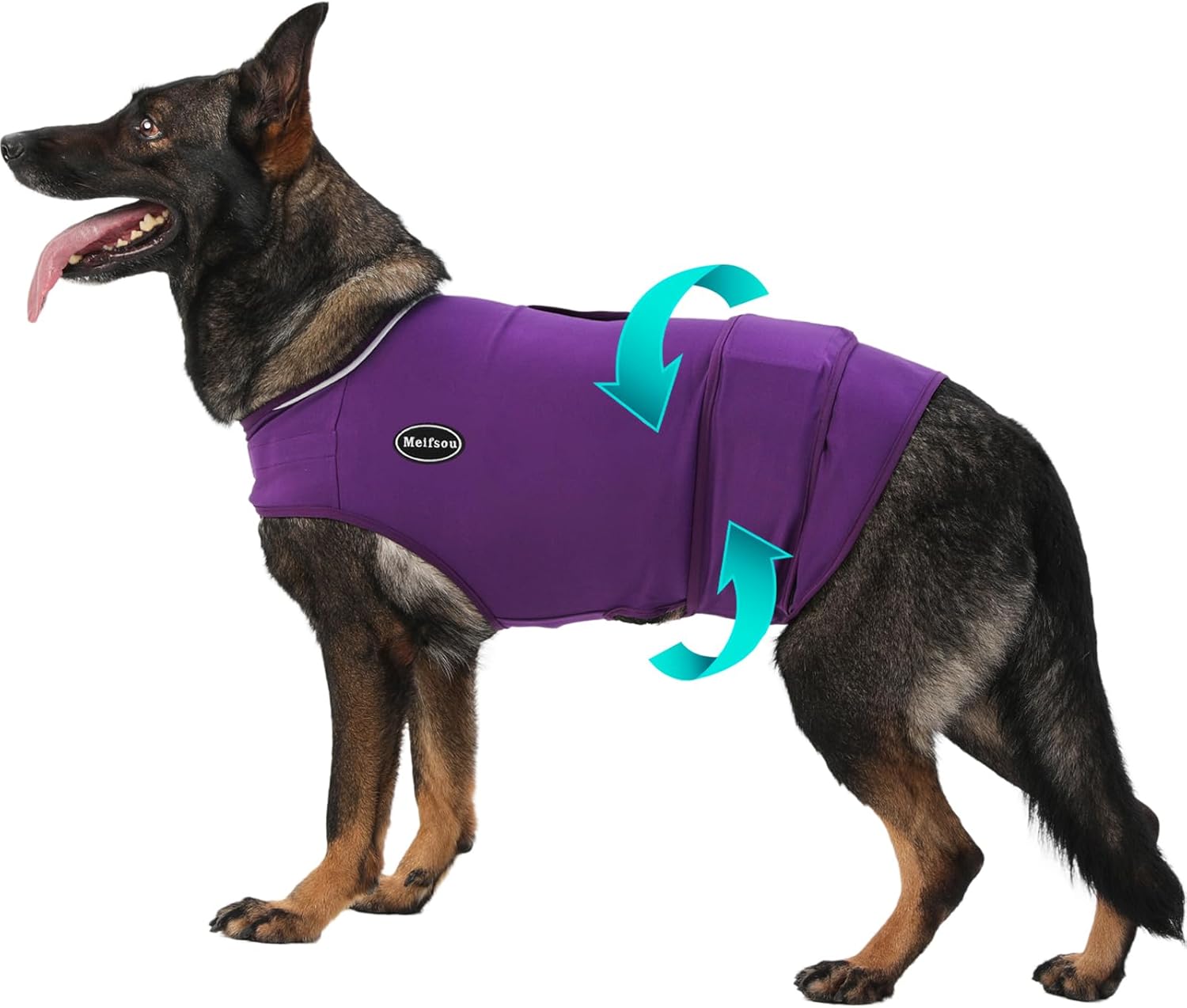 Dog Anxiety Vest