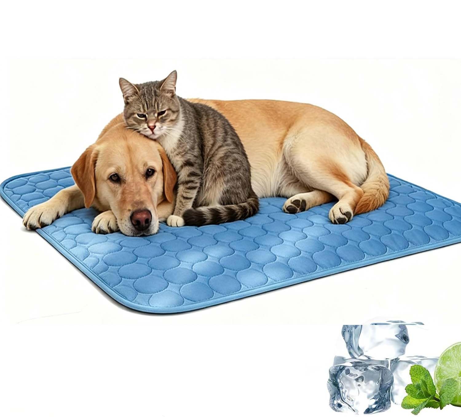 Tapis de refroidissement pour chien : lit nomade intérieur et extérieur
