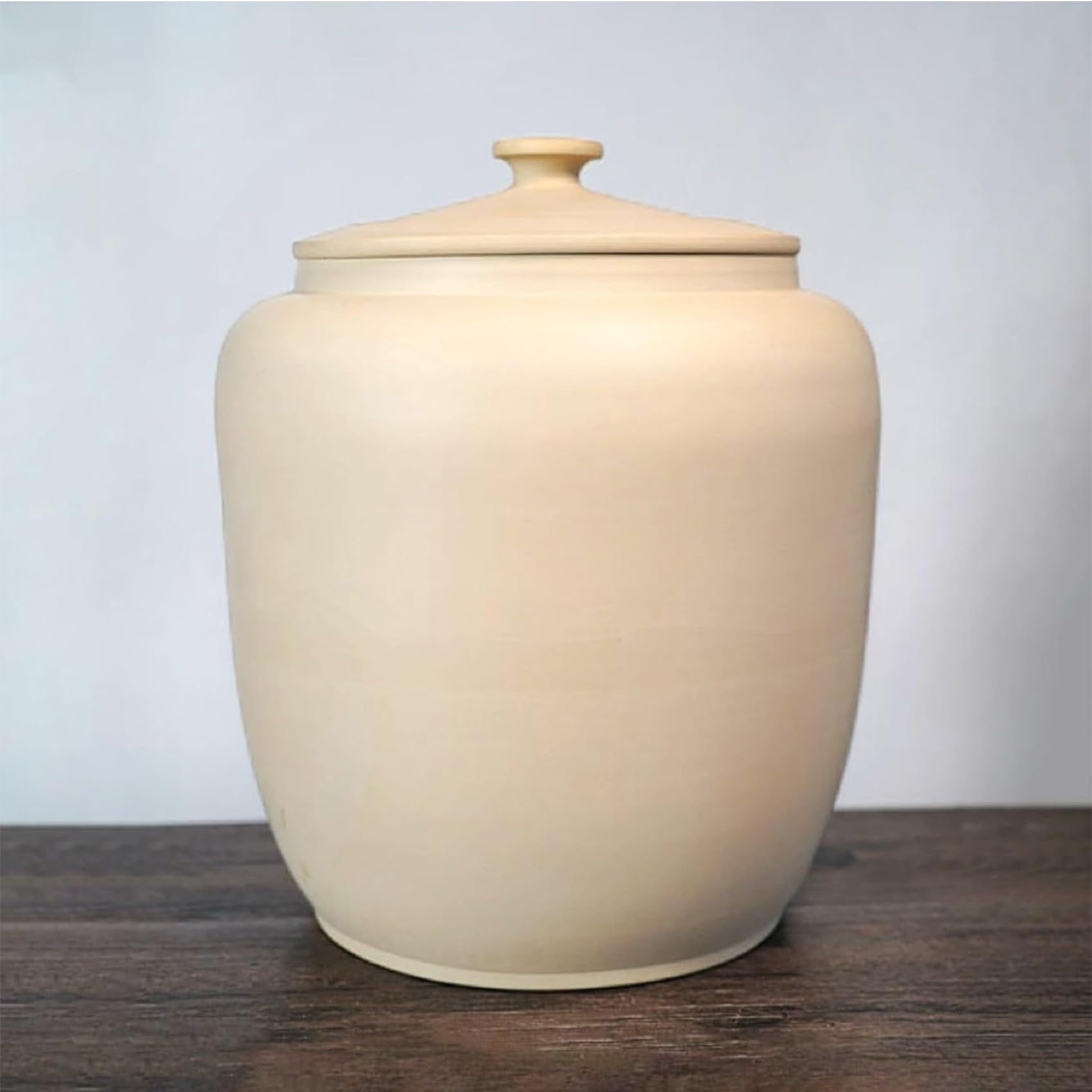 Hlixzoy Ceramic Rice Storage Bin with Lid – Decorative Strong-Seal Grain Container for Pantry, Store Rice, Soybeans, Corn & Flour – Easy To Take