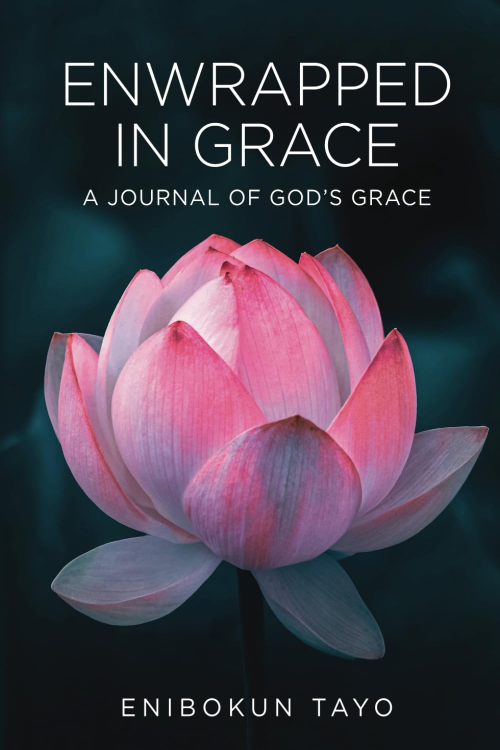 Enwrapped in Grace: A Journal of God's Grace