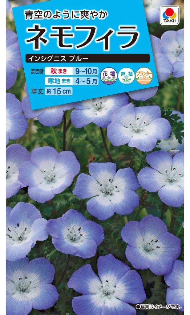 ねもふぃら購入ページ 61NUFLf3nDL._UF1000,1000_QL80_.jpg