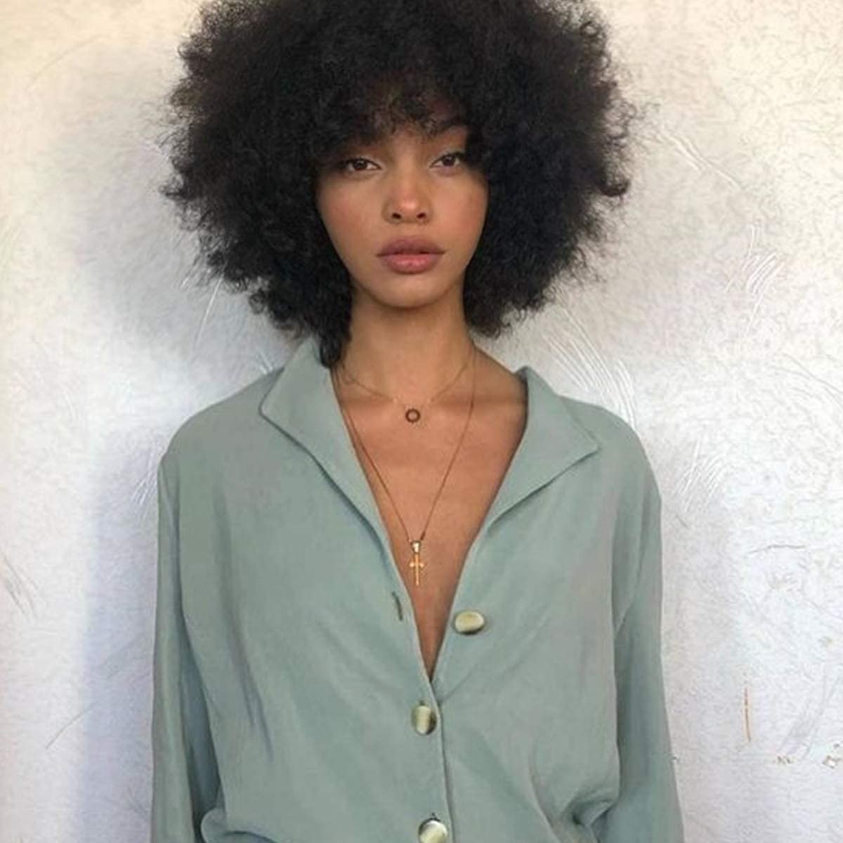 Faddishair 100% Human Hair Short Black Afro Kinky Curly Wigs for Women Lightweight Natural Looking Full Hair Wig