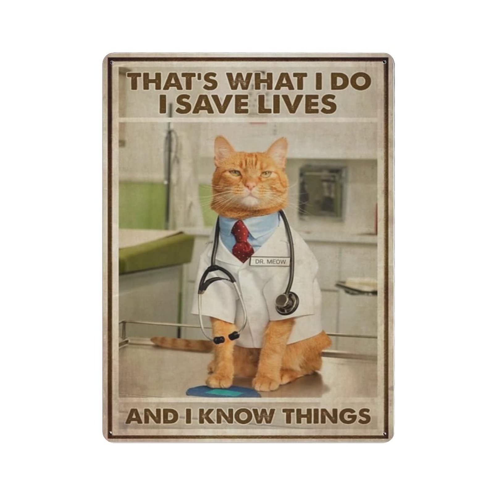 AOOEDM Cat That's What I Do Vintage Metal Tin Sign for Home Coffee Shop Office Wall Art Metal Poster Garage Decor Man Cave Sign Inspirational Quote Wall Decor