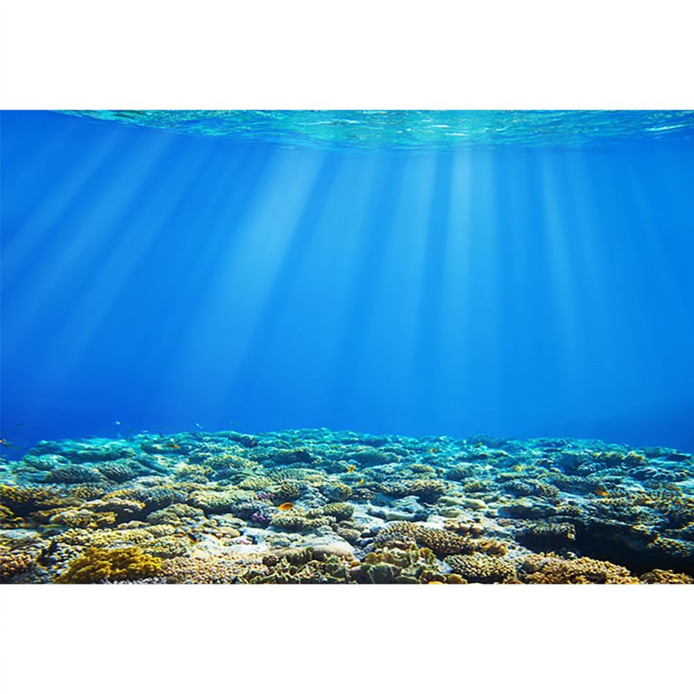 SDOTPMT 6x4ft Underwater World Polyester Backdrop Under The Sea Undersea Sunlight Deep Blue Water Aquatic Plants Coral Background Marine Theme Birthday Party Fish Tank Decor Photo Studio Props