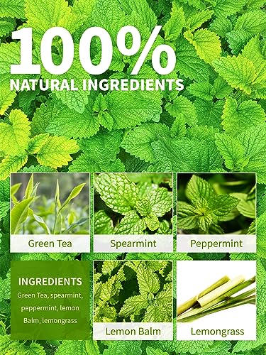Image of TeeLux Mint Green Tea Bags, Fresh & Smooth Taste, Refreshing Aroma, 100 ct