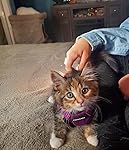 Review Image by Alyssa