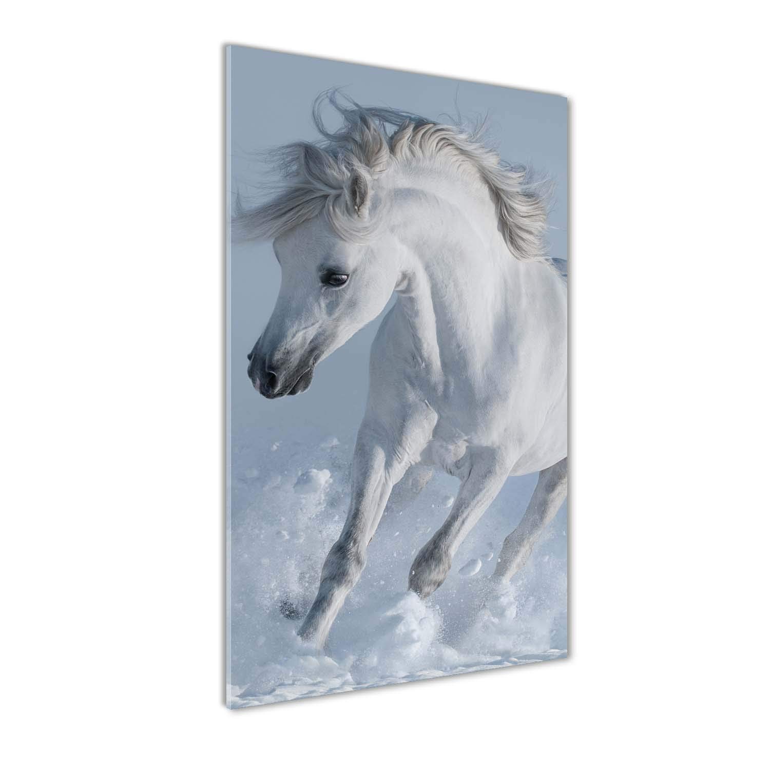 Tableau image cheval blanc au galop peinture sur verre trempé 70x140