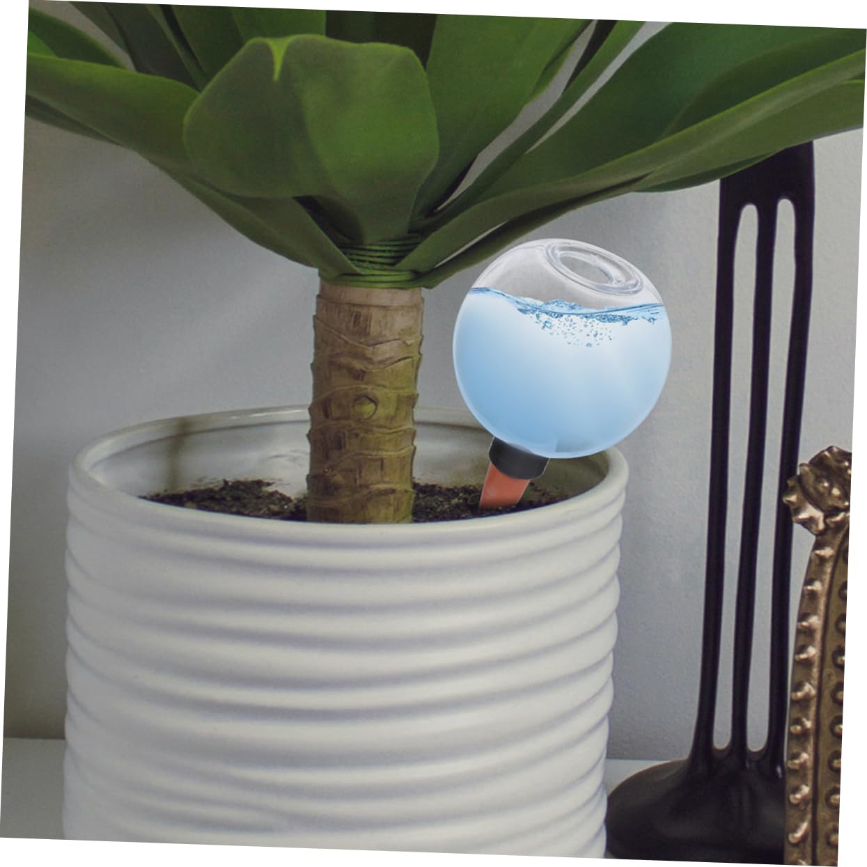BESPORTBLE 6pièces Dispositif Arrosage Automatique pour Plantes Lot de Bulbes De Système Irrigation pour Plantes Et Économie Et Pratique pour Succulentes Et Pot