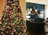 Review Image by DorothyZ DorothyZ