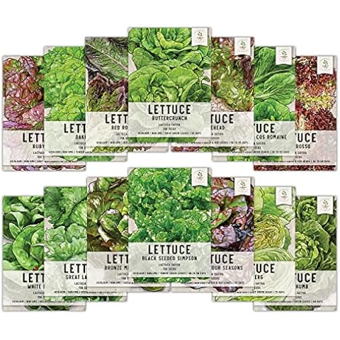 Seed Needs Lettuce Seeds Variety Pack Cover