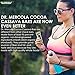 Dr. Mercola, Organic Cocoa Cassava with Coconut and Chia Seeds, 1 Box (12 Bars), Chocolate-Coated Gourmet Snack Bar, Non GMO, Soy Free, Gluten Free, USDA Organic