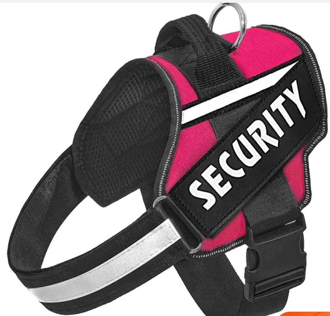 NEOMART Dog Harness, No-Pull Reflective Dog Vest, Breathable Adjustable Pet Harness with Handle for Outdoor Walking - No More Pulling, Tugging or Choking (XL, Blue) (B0BFLJJJSW) Amazon Price History, Amazon Price Tracker