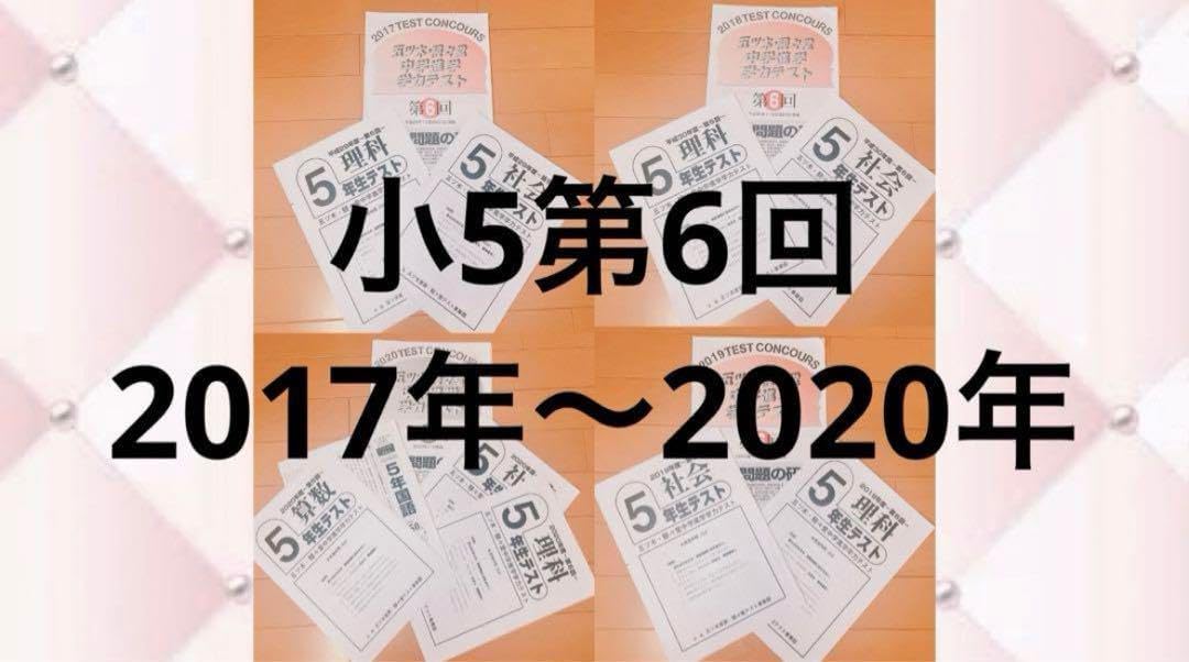 十三絃 和琴（琴袋・琴座付き）蒔絵・七宝装飾入り 和楽器