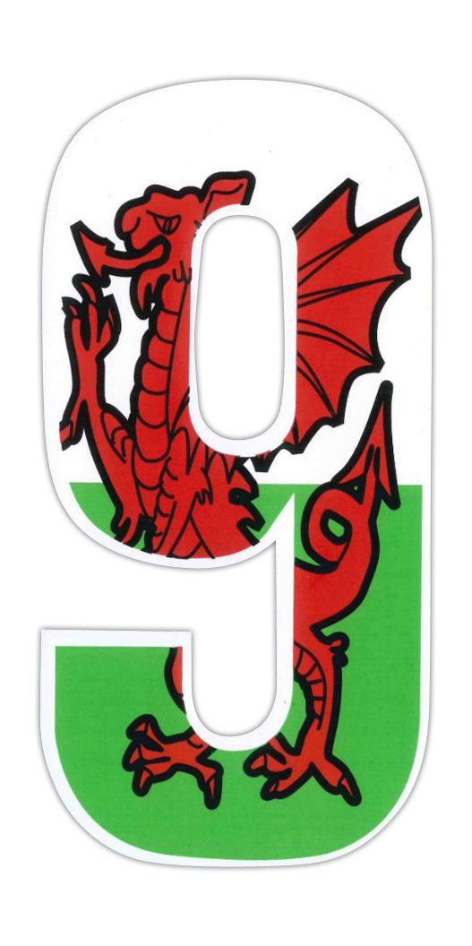 Wheelie Bin Numbers Welsh Dragon 9