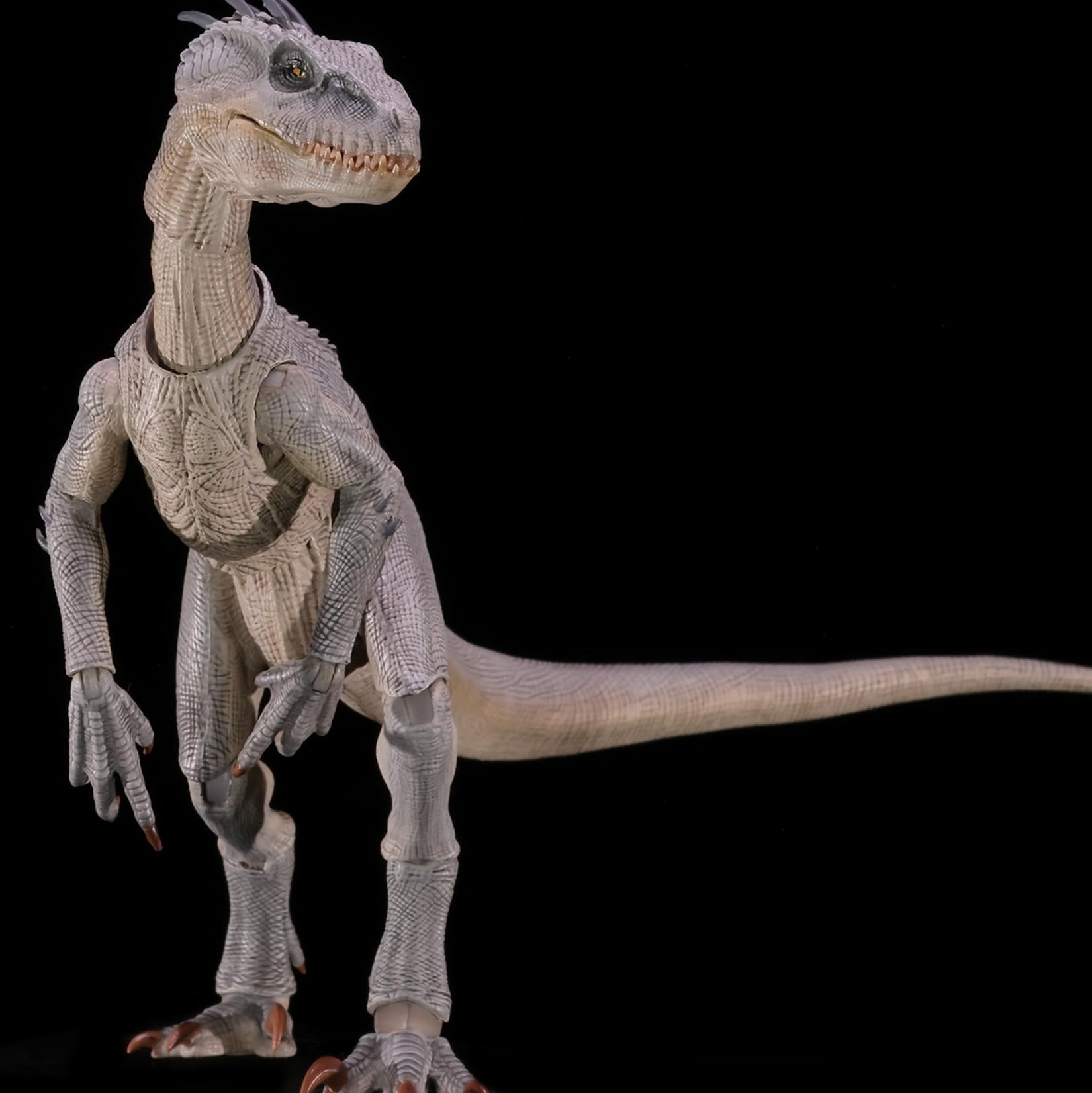 本心楠改　Nanmu ティラノサウルス　可動フィギュア Amazon | Nanmu 本心楠改 零集易動シリーズ ティラノサウルス 恐竜