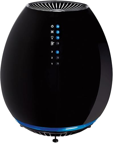 Holmes HEPA - Purificador de aire para habitación pequeña, cobertura de 112 pies cuadrados, 11-38" x 9-38", negro