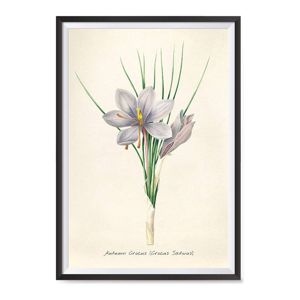 L3705-266-2 フランスヴィンテージ ルドゥーテ フラワー 絵 壁掛け L3705-266-2 フランスヴィンテージ ルドゥーテ フラワー 絵