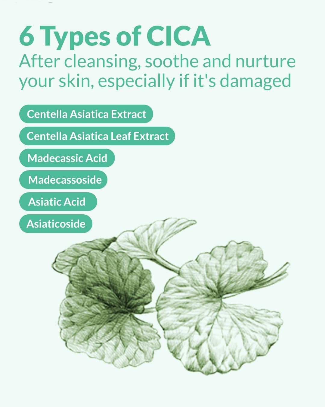 AHA BHA Cica Gentle Clear Pad - Facial Exfoliating Pad for Dead Skin Cell Care, pH Balancing & Sebum Control, Tighten Large Pores, Calm Sensitive Skin, & Moisturize Dry, Flaky Skin, 70 Sheets - Image 5