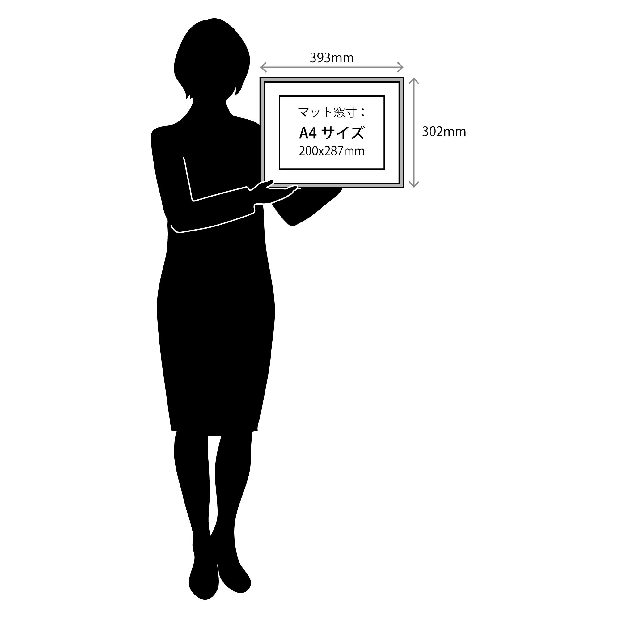 Amazon.co.jp: ラーソン・ジュール A4サイズ用マット付き額縁 D771