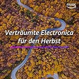  Verträumte Electronica für den Herbst