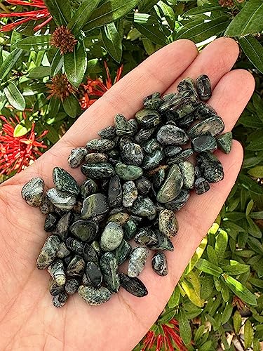 Image of GAF TREASURES 2 oz Lot Natural Semi Tumbled Gemstone Chips, Crushed Mini Crystals, Undrilled Crystal Chips (Kambaba Jasper)