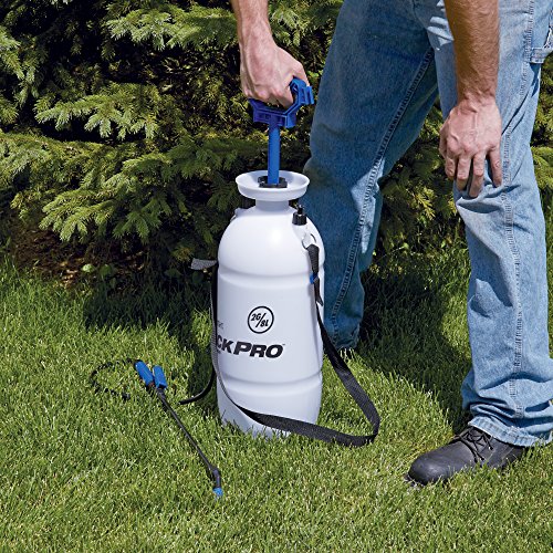 Homeright C900908 C900908 Tank Sprayer, 2 Gal, White #TOP3