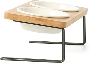 FUKUMARU Ciotola per Gatti e Cani Rialzata,Ciotola per Cibo per Gatti Inclinata di 15°, con Bambù Antiscivolo e Supporto in Metallo,Ciotola in Ceramica di Alta Qualità del Diametro di 14 CM.